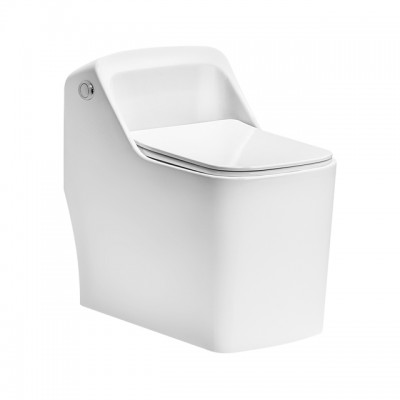 Low Cistern Square Toilet with 4.8L Single Flush