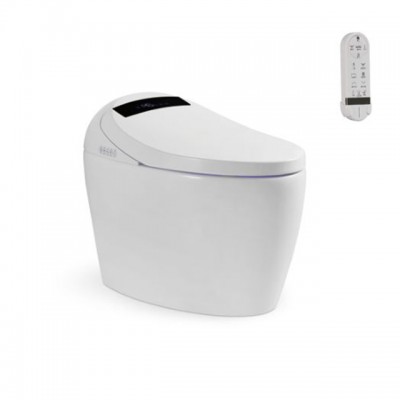 Intelligent washdown toilet without tank