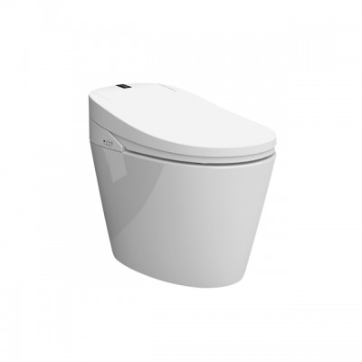 Certificated Smart Toilet Cover Combine Ceramic Blow