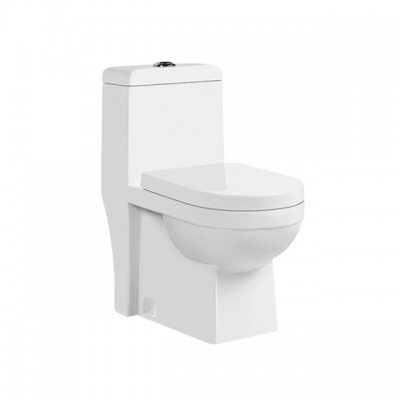 4.8L One Piece Toilet with P-trap 180 & S-trap 200/250