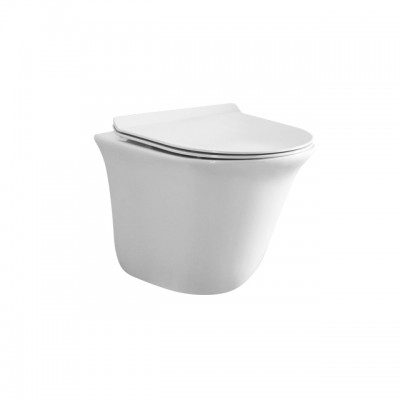 Wall Mounted Toilet Rimless type in special offer