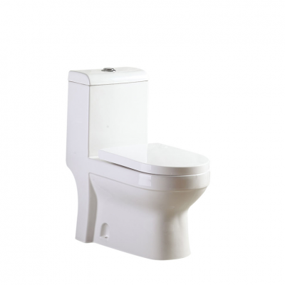 One Piece Washdown Toilet