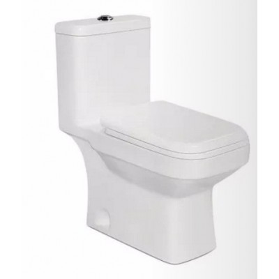 One Piece Washdown Toilet