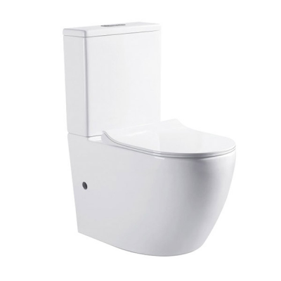 Two-Piece Washdown Toilet High Quality Modern Design S-Trap 250mm   P-Trap 180mm