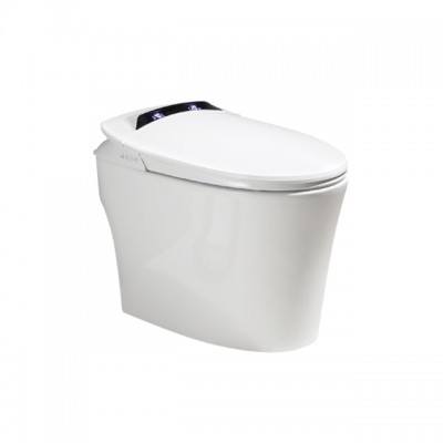 Intelligent washdown toilet with LED display