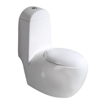 ONE PIECE WASHDOWN TOILET