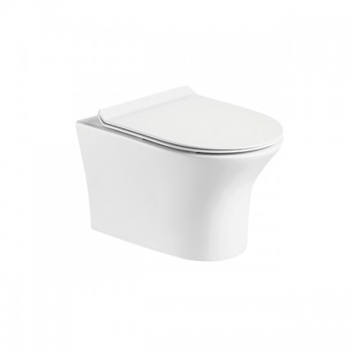 Wall-Hung Toilet Rimless type in special offer