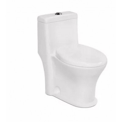 One Piece Washdown Toilet