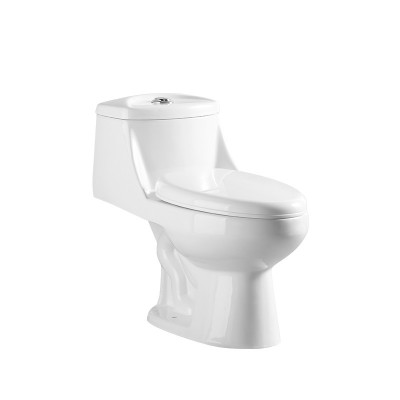 One Piece Siphonic Toilet