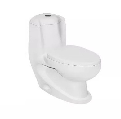 One Piece Washdown Toilet