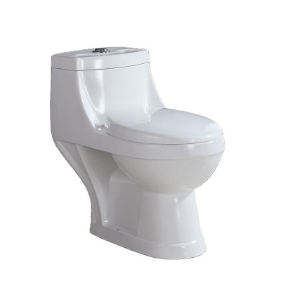 One Piece Washdown Toilet