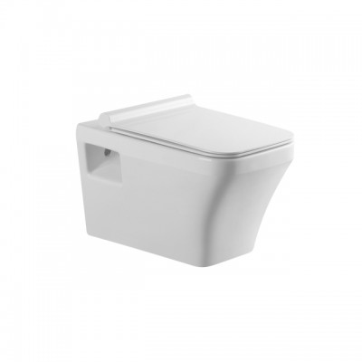 Wall Mounted Toilet Rimless type in special offer