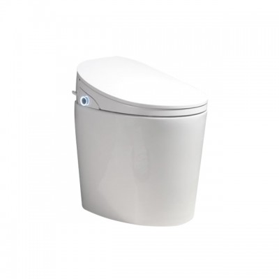 Intelligent washdown toilet with LED display