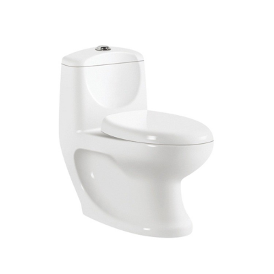 One Piece Washdown Toilet